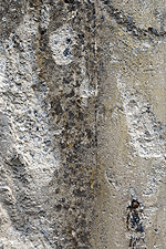 Betonwand