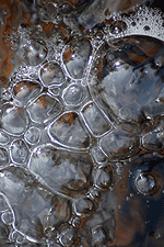 Wasserblasen